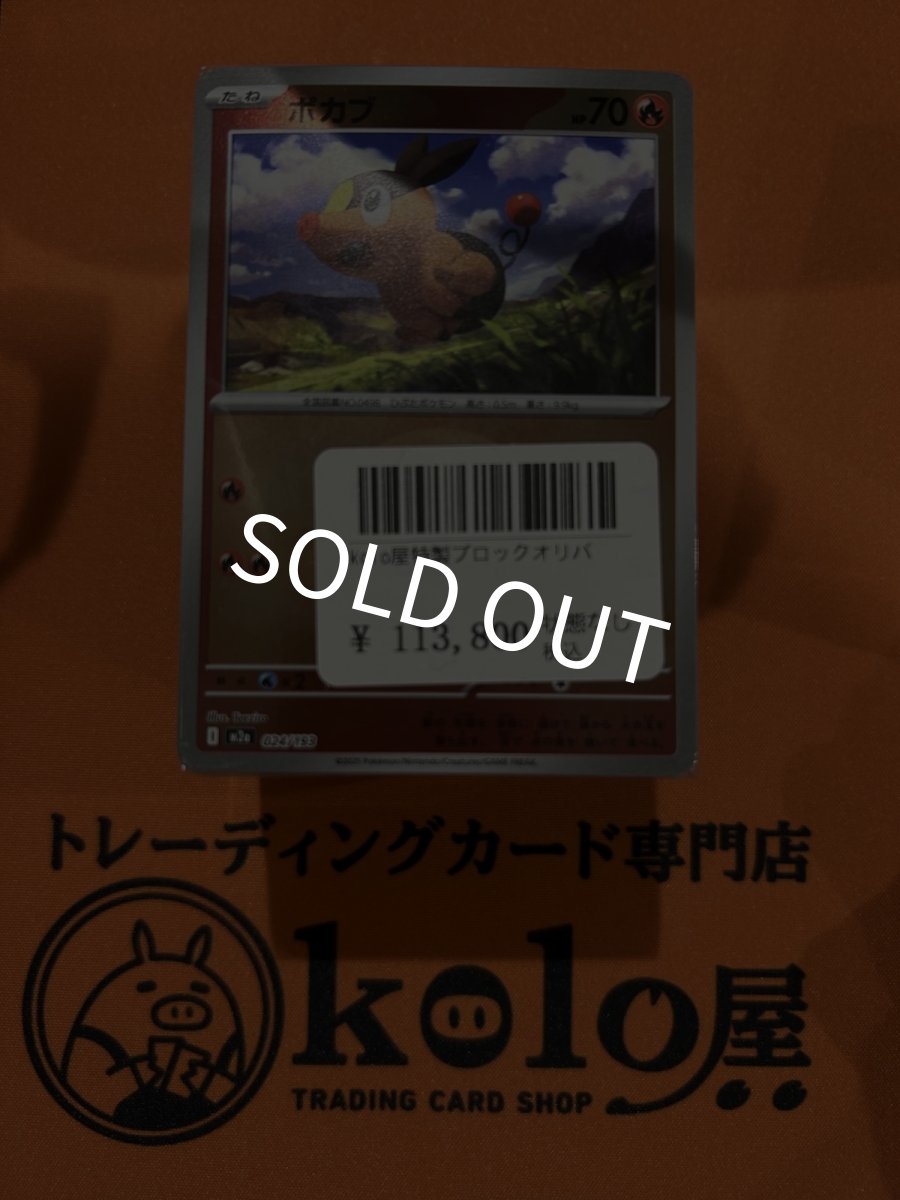 画像1: kolo屋特製ブロックオリパ (1)