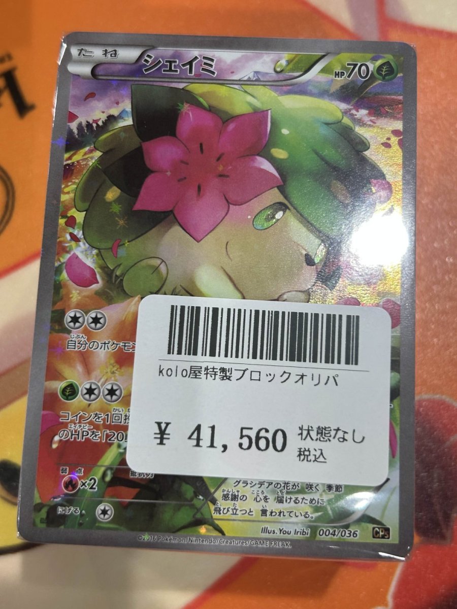 画像1: kolo屋特製ブロックオリパ (1)