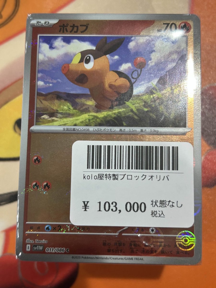 画像1: kolo屋特製ブロックオリパ (1)