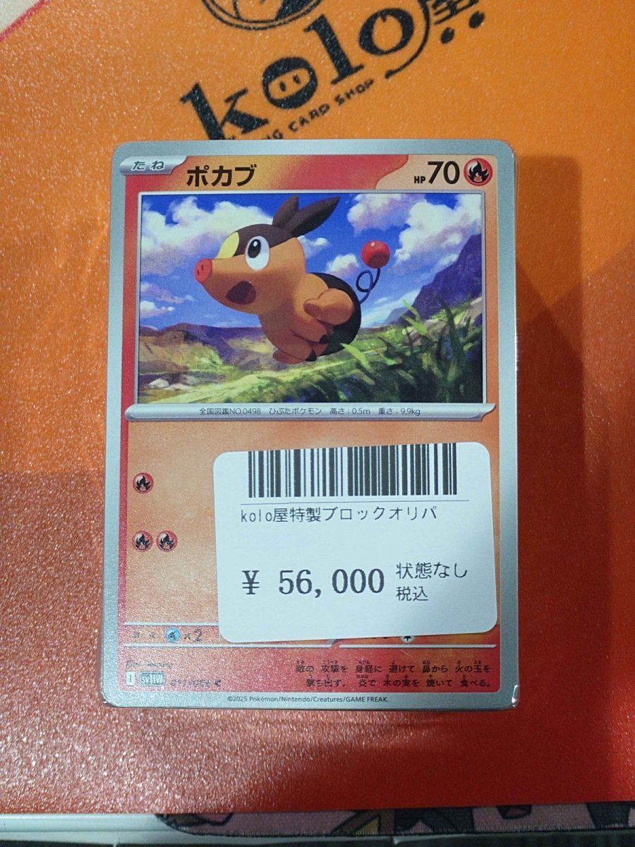 画像1: kolo屋特製ブロックオリパ (1)