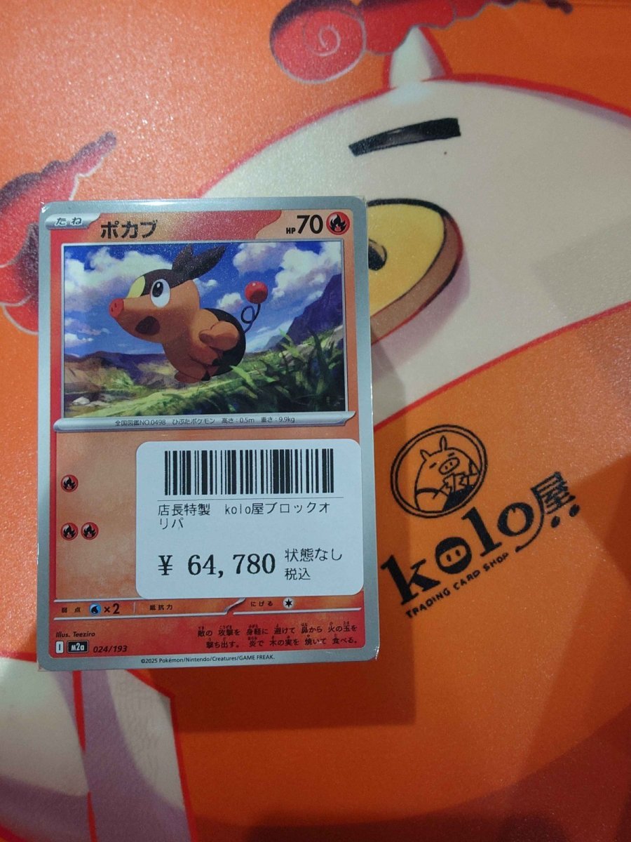 画像1: 店長特製　kolo屋特製ブロックオリパ (1)