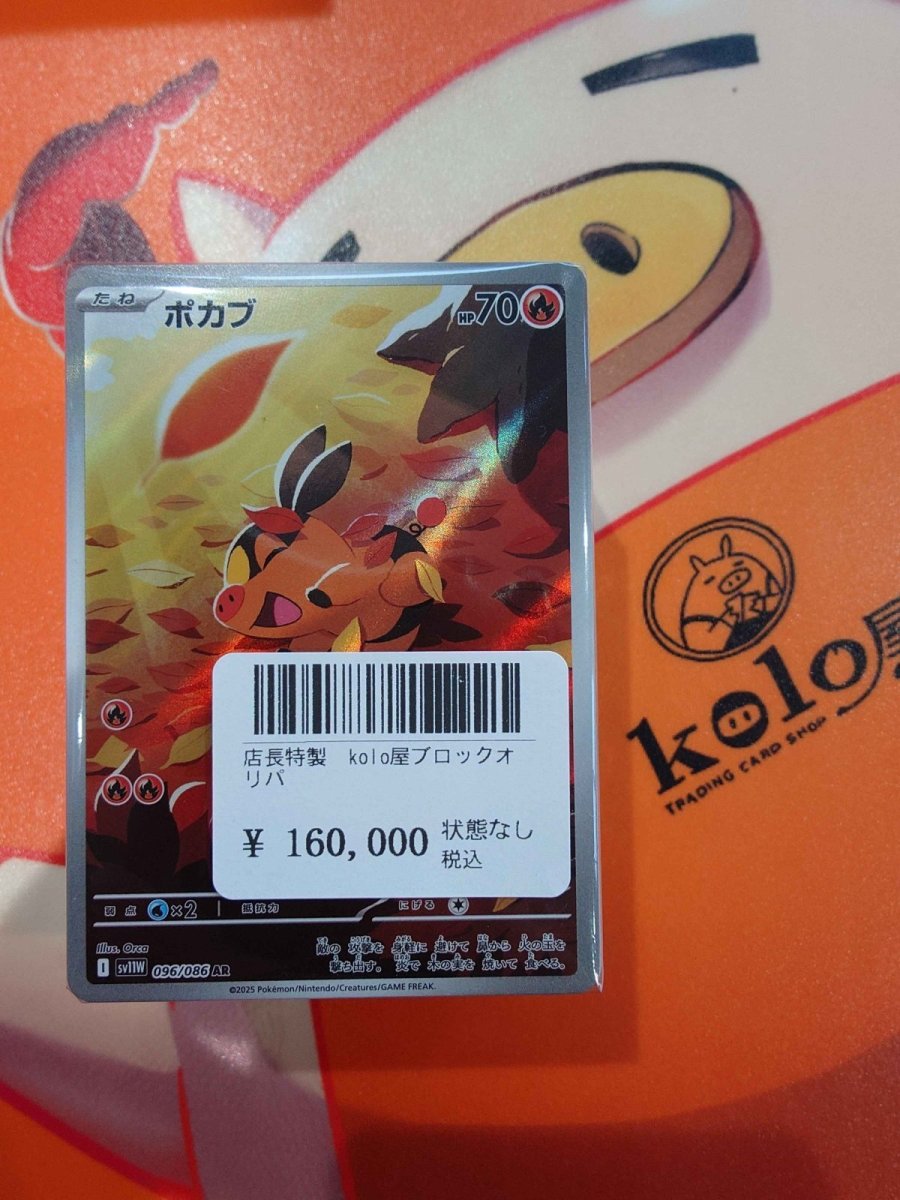 画像1: 店長特製　kolo屋特製ブロックオリパ (1)