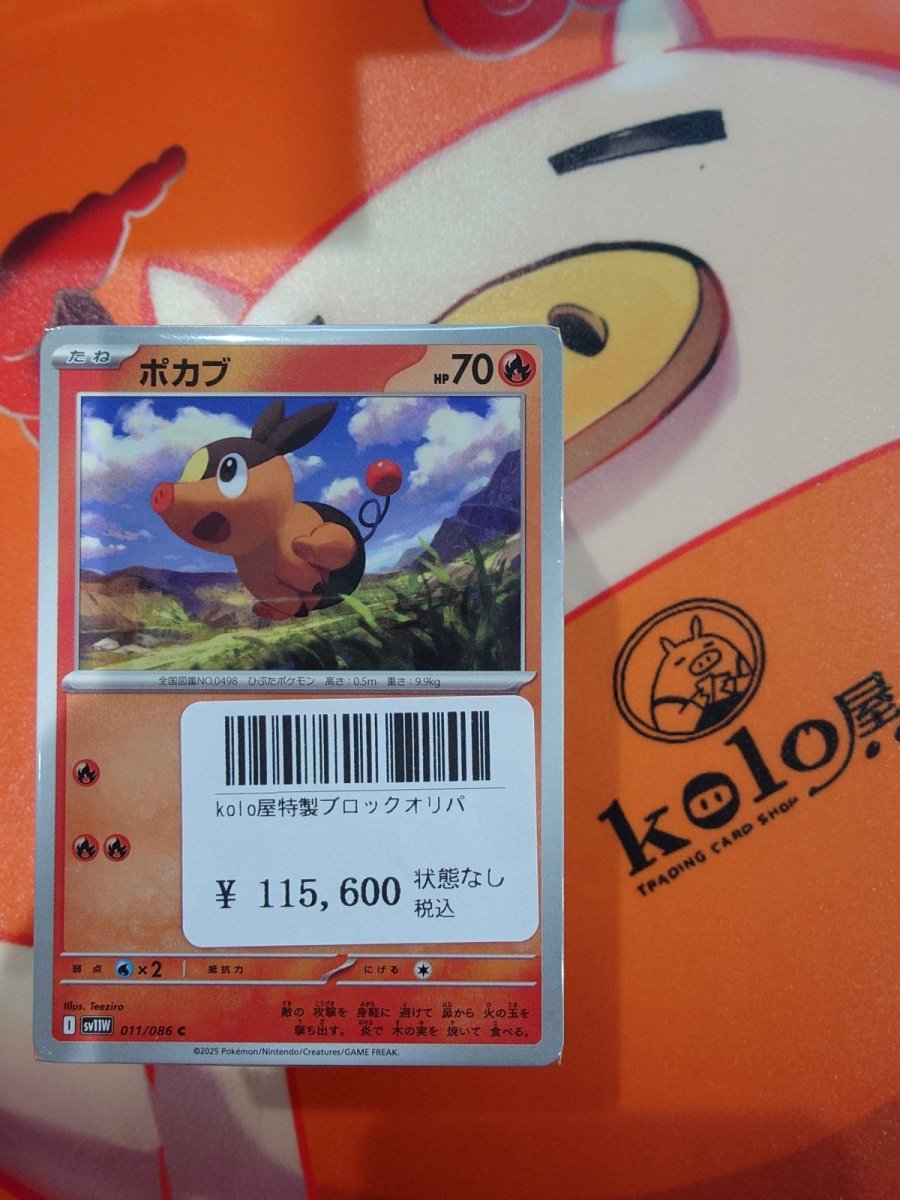 画像1: 店長特製　kolo屋特製ブロックオリパ (1)