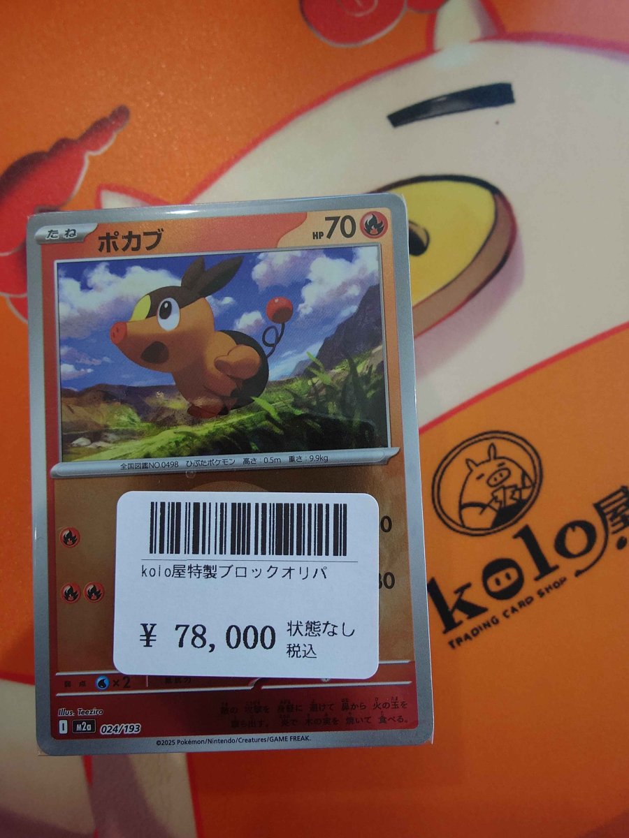 画像1: 店長特製　kolo屋特製ブロックオリパ (1)