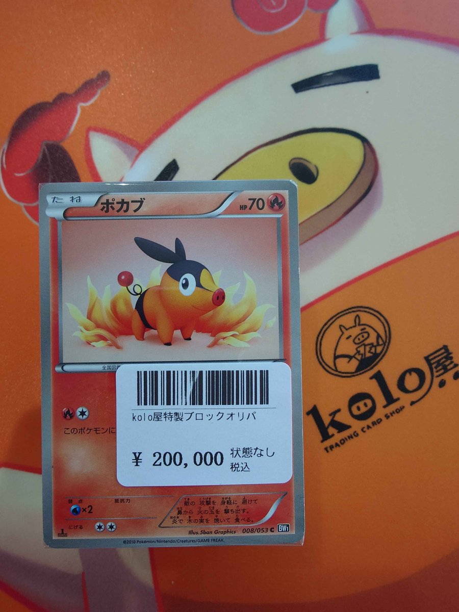 画像1: 店長特製　kolo屋特製ブロックオリパ (1)