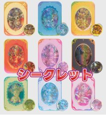 画像3: 【予約商品】中国版テラスタルフェスex「太晶盛聚]　関連ダメカンケースセット（拡張パック2個入り）　エーフィver. (3)