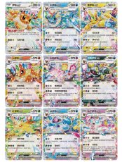画像6: 【予約商品】中国版テラスタルフェスex「太晶盛聚]　ウォータードームカードケースセット（拡張パック2個入り） (6)