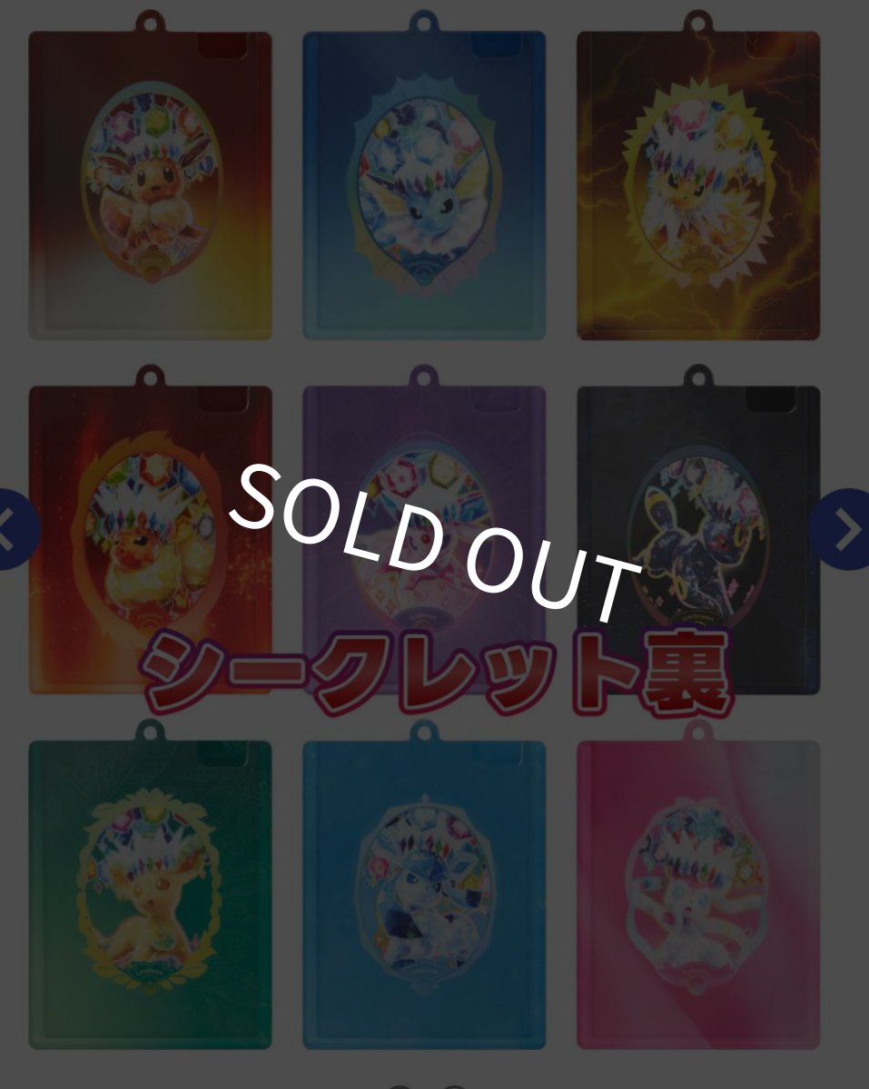 画像4: 【予約商品】中国版テラスタルフェスex「太晶盛聚]　ウォータードームカードケースセット（拡張パック2個入り） (4)