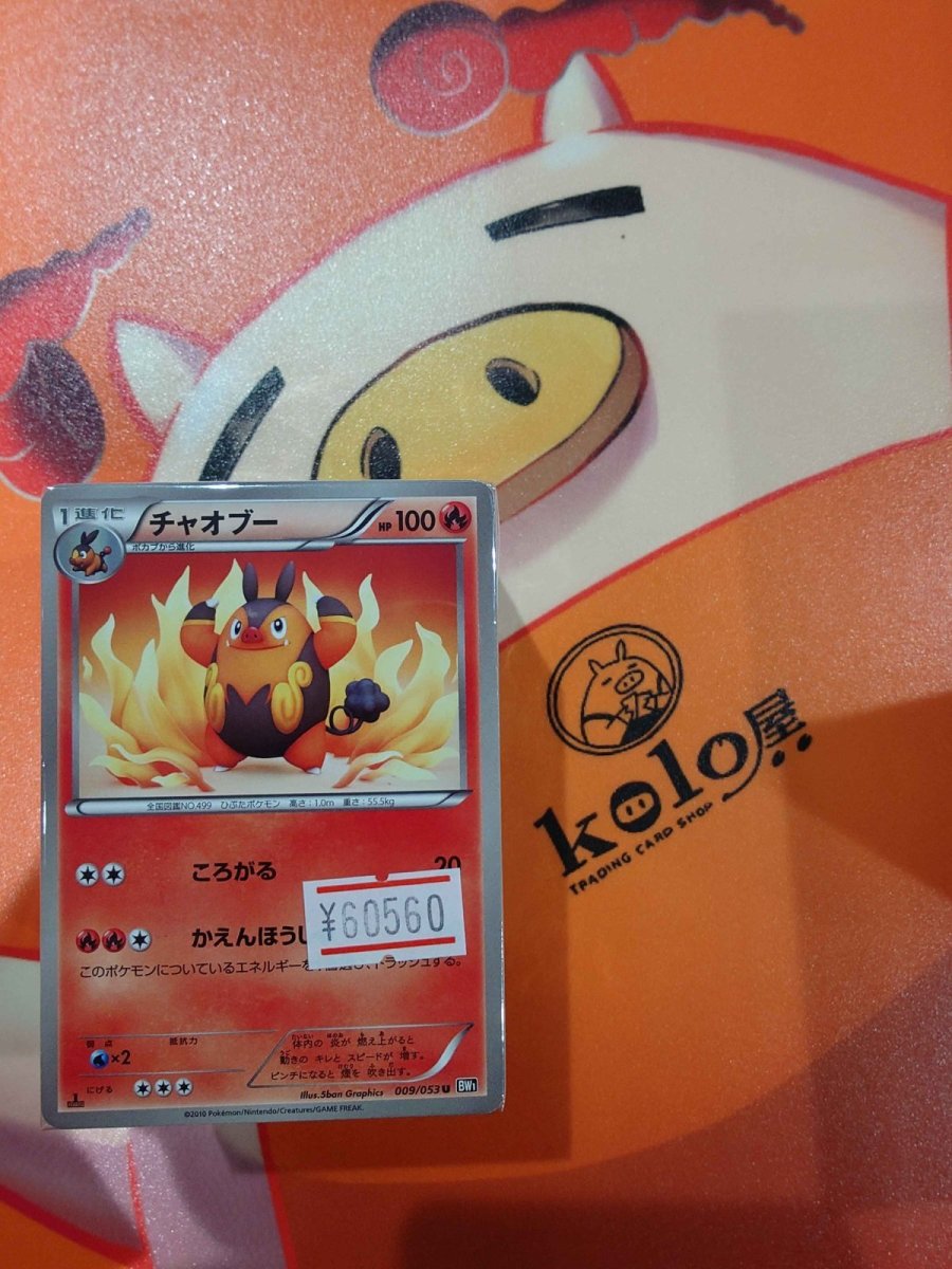 画像1: 店長特製　kolo屋特製ブロックオリパ (1)