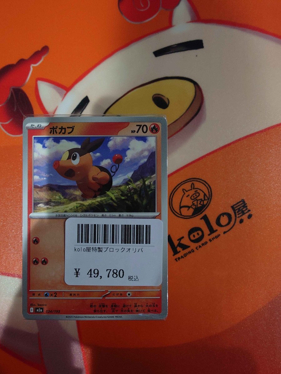 画像1: 店長特製　kolo屋特製ブロックオリパ (1)