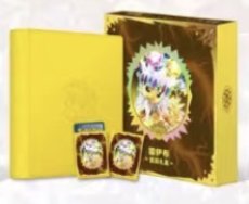 画像1: 【予約商品】中国版テラスタルフェスex「太晶盛聚」ファイルセット　サンダースver.（拡張パック8個入り） (1)