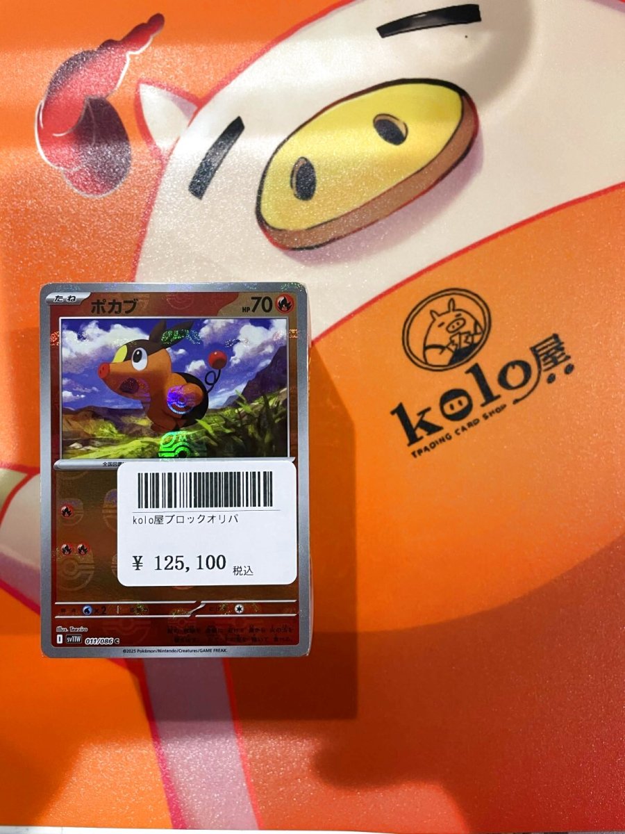 画像1: 店長特製　kolo屋特製ブロックオリパ (1)