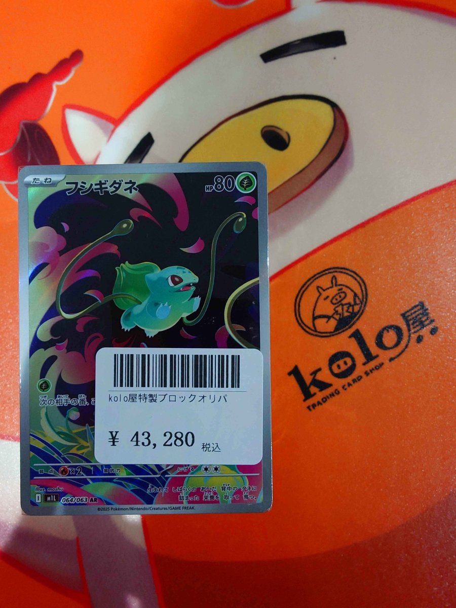 画像1: 店長特製　kolo屋特製ブロックオリパ (1)