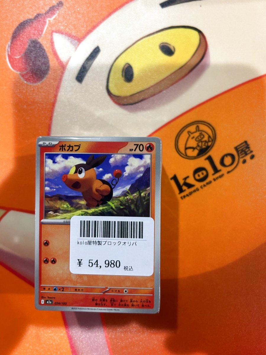 画像1: 店長特製　kolo屋特製ブロックオリパ (1)