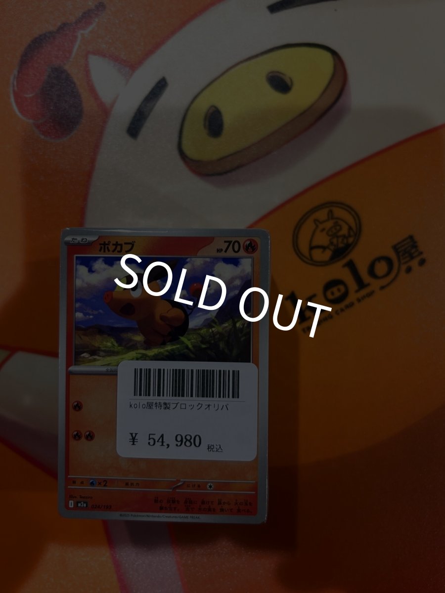画像1: 店長特製　kolo屋特製ブロックオリパ (1)
