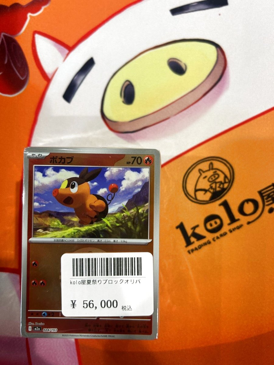 画像1: 店長特製　kolo屋夏祭りブロックオリパ (1)