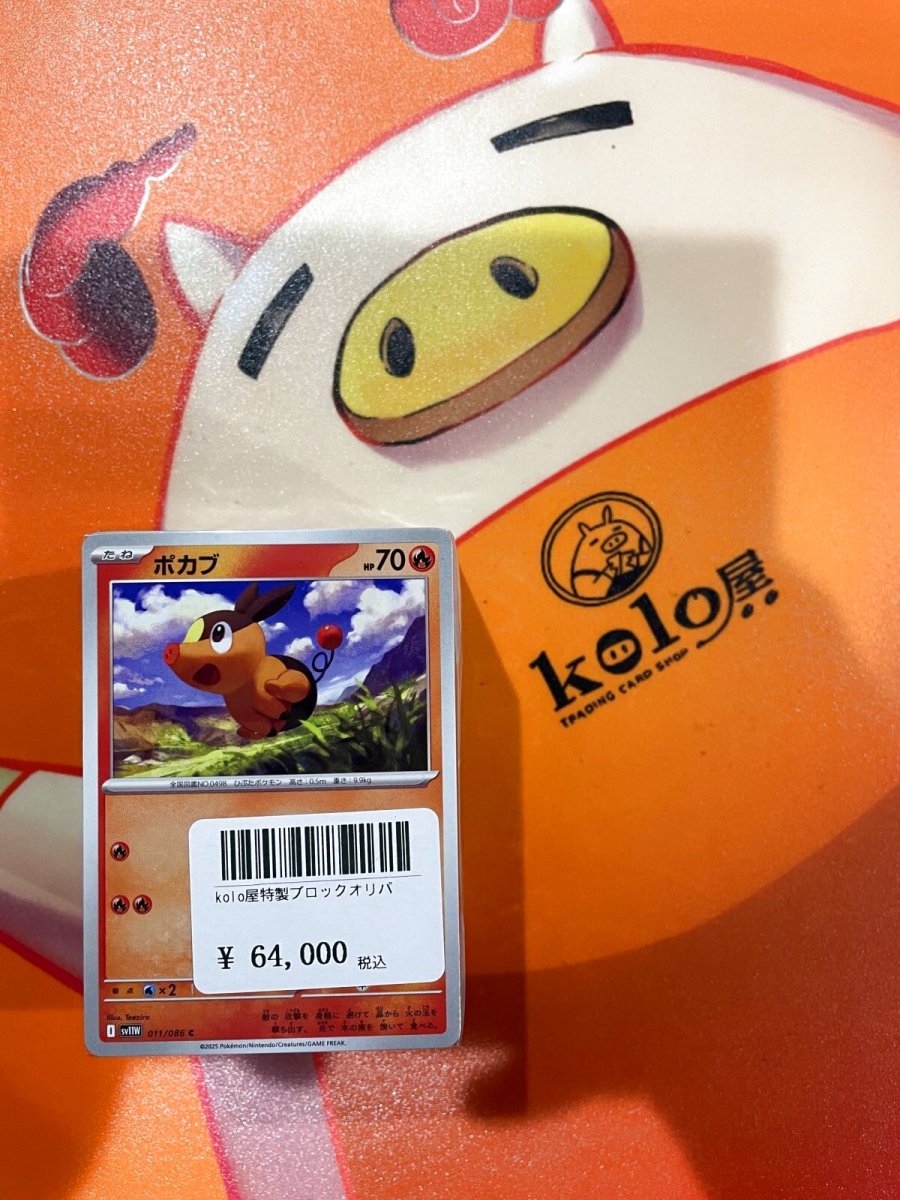 画像1: 店長特製　kolo屋ブロックオリパ (1)
