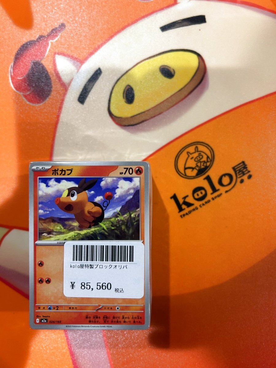 画像1: 店長特製　kolo屋ブロックオリパ (1)