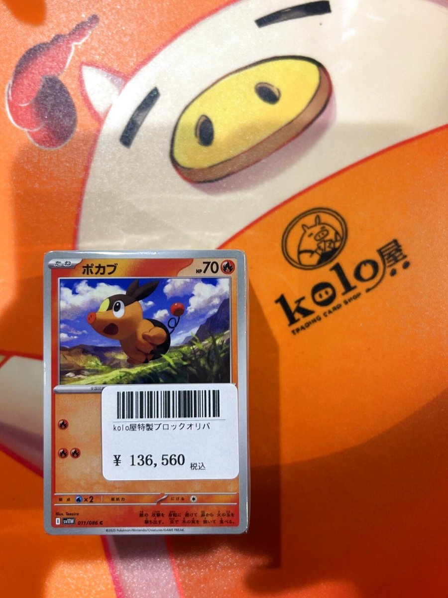画像1: 店長特製　kolo屋ブロックオリパ (1)