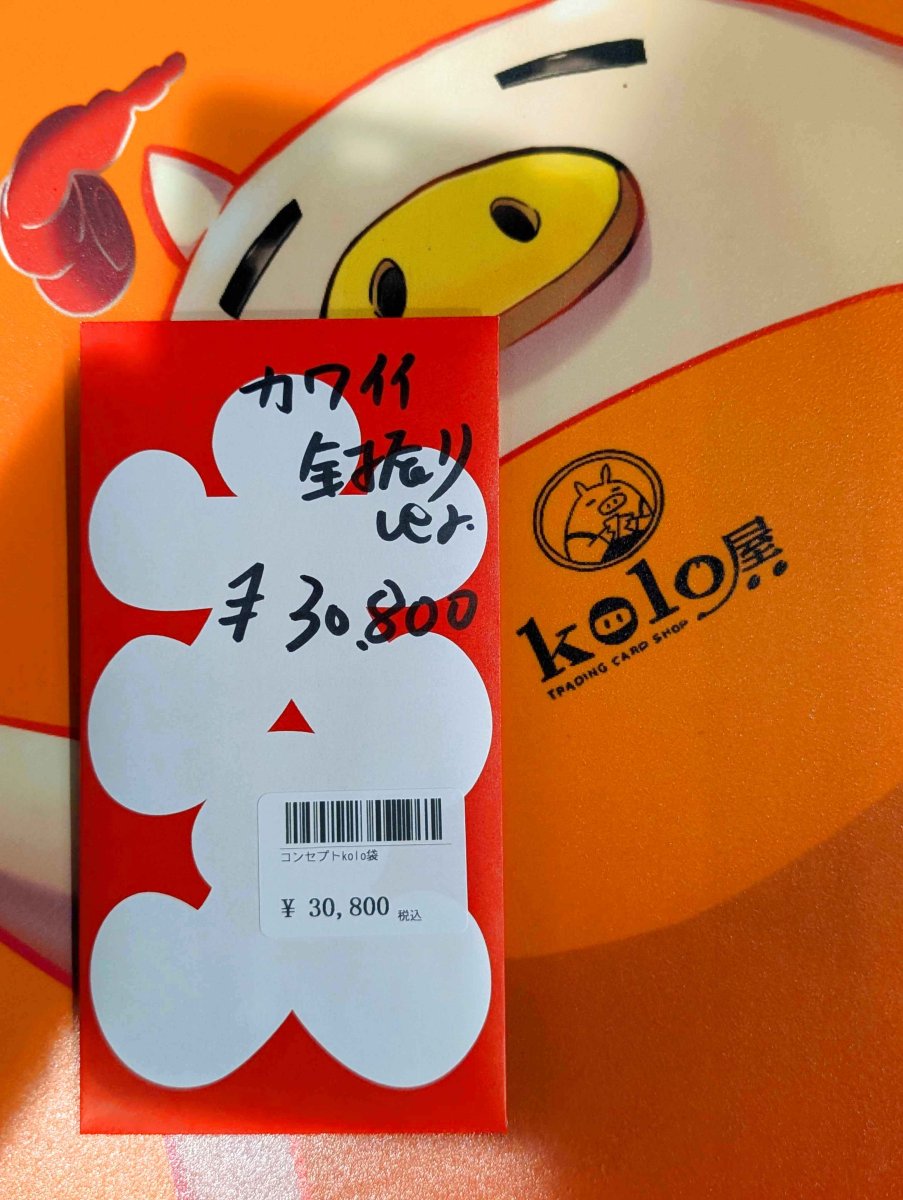 画像1: kolo屋特製コンセプト袋 (1)