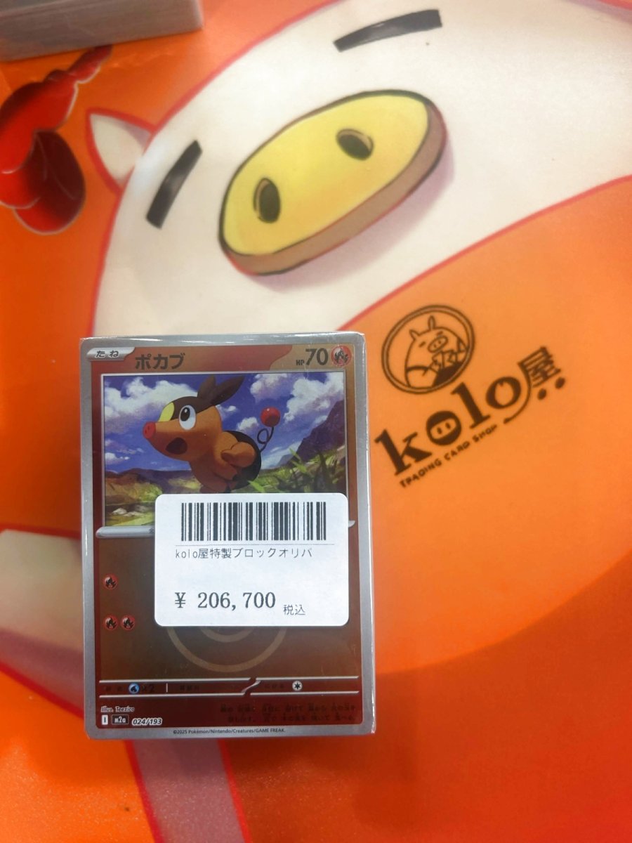 画像1: 店長特製　kolo屋ブロックオリパ (1)