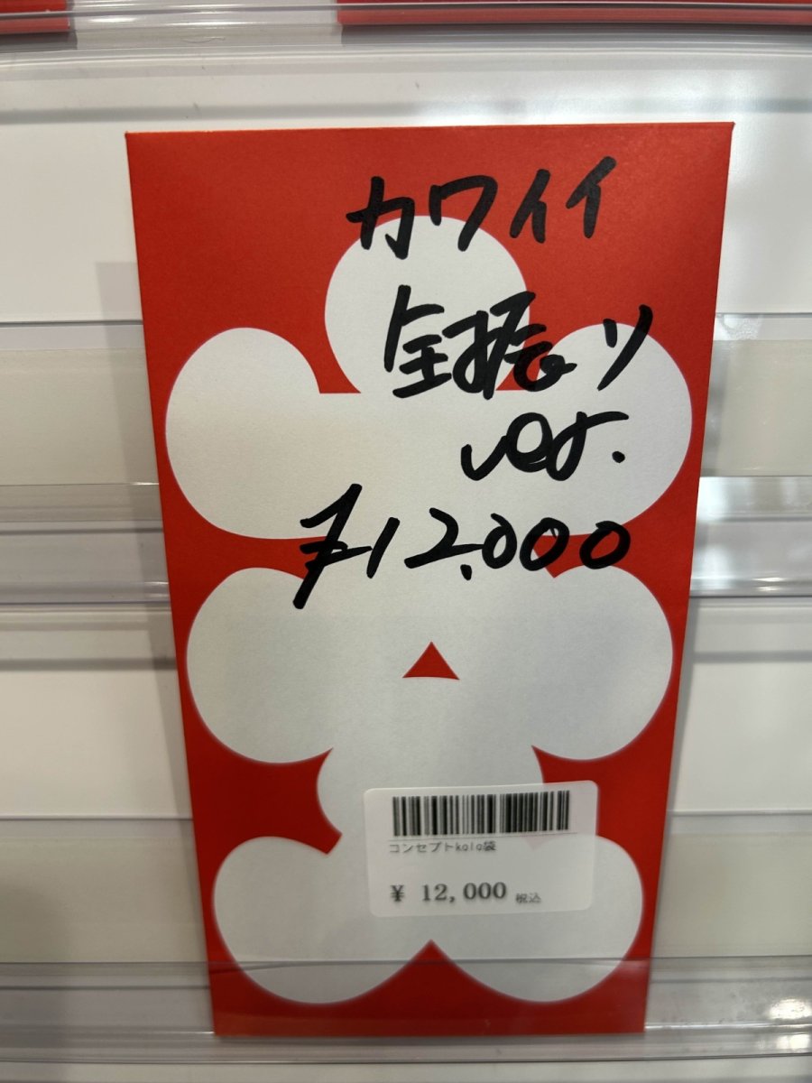 画像1: kolo屋特製コンセプト袋 (1)