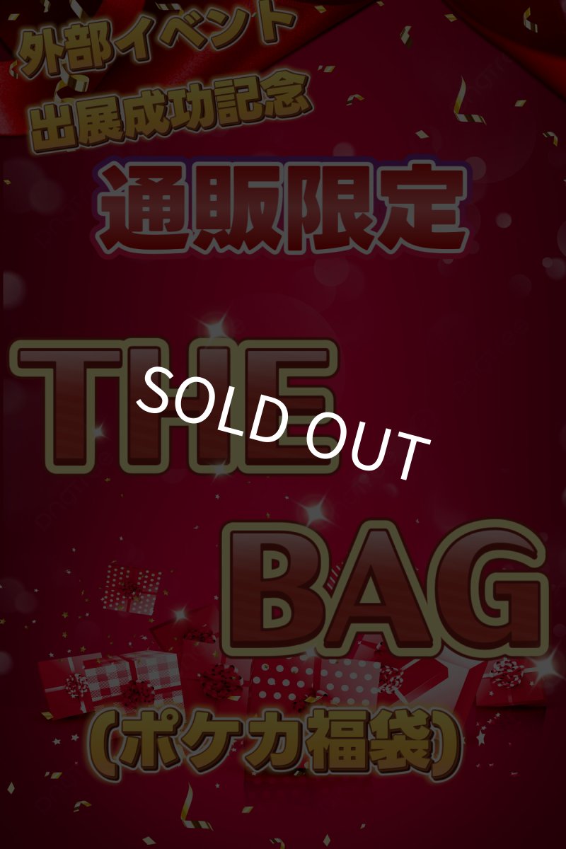 画像1: 【kolo屋外部イベント成功記念】THE BAG(福袋) 10万 (1)