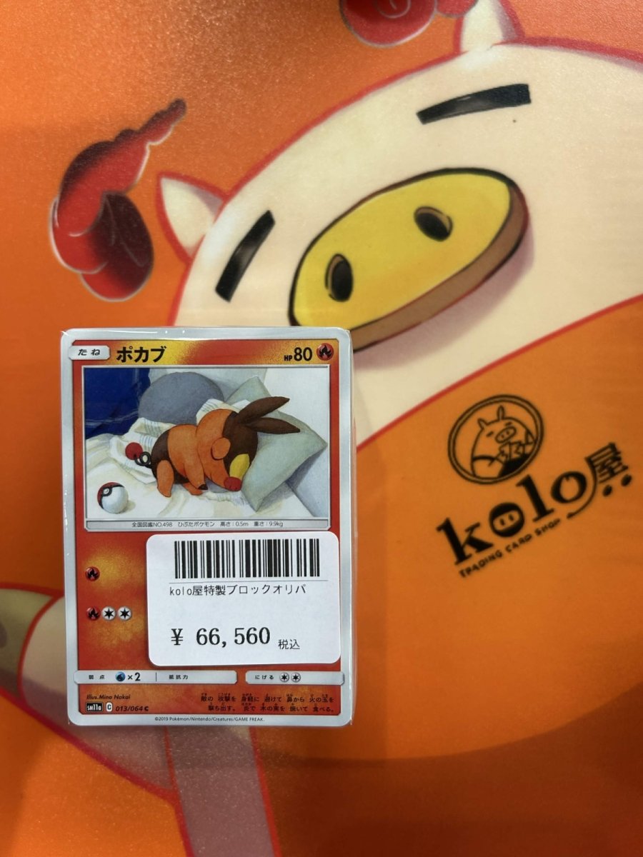 画像1: 店長特製　kolo屋ブロックオリパ (1)