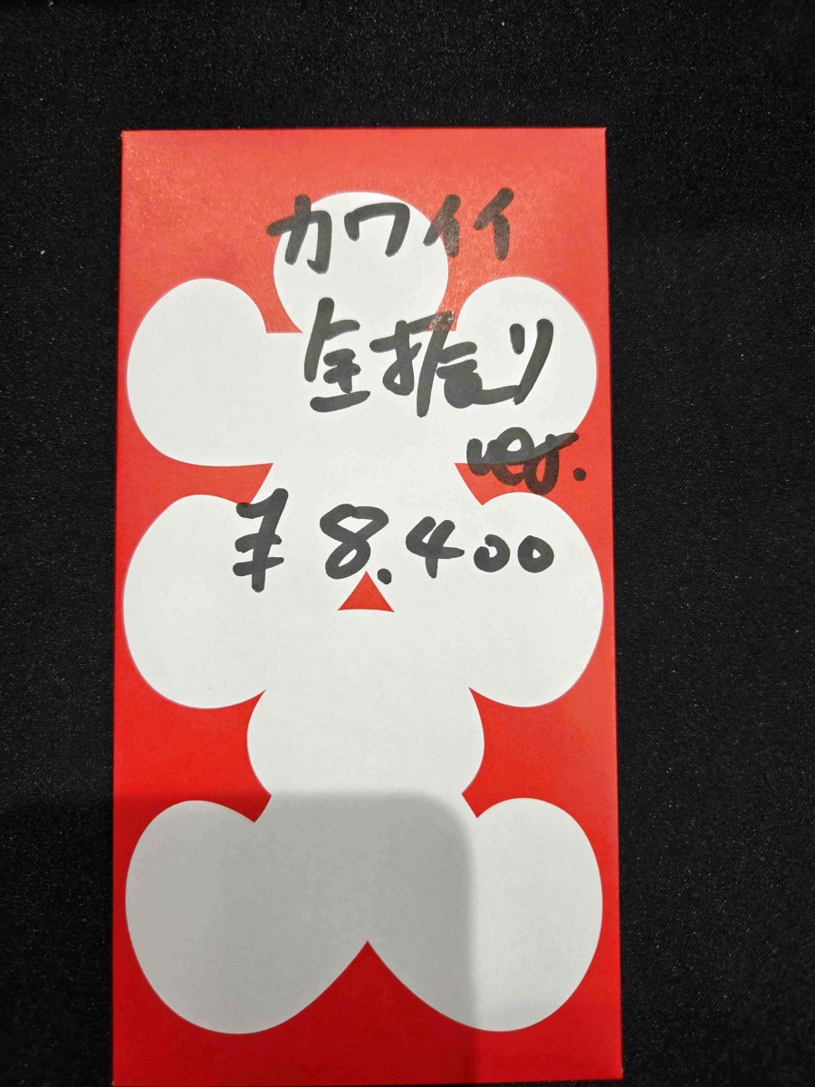 画像1: kolo屋特製コンセプト袋 (1)